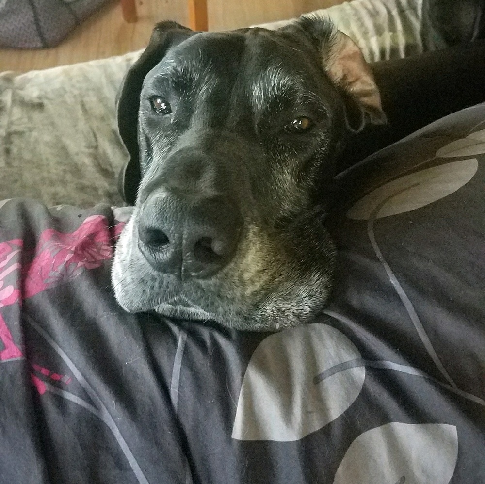 Meet your Posher, Kaitlyn